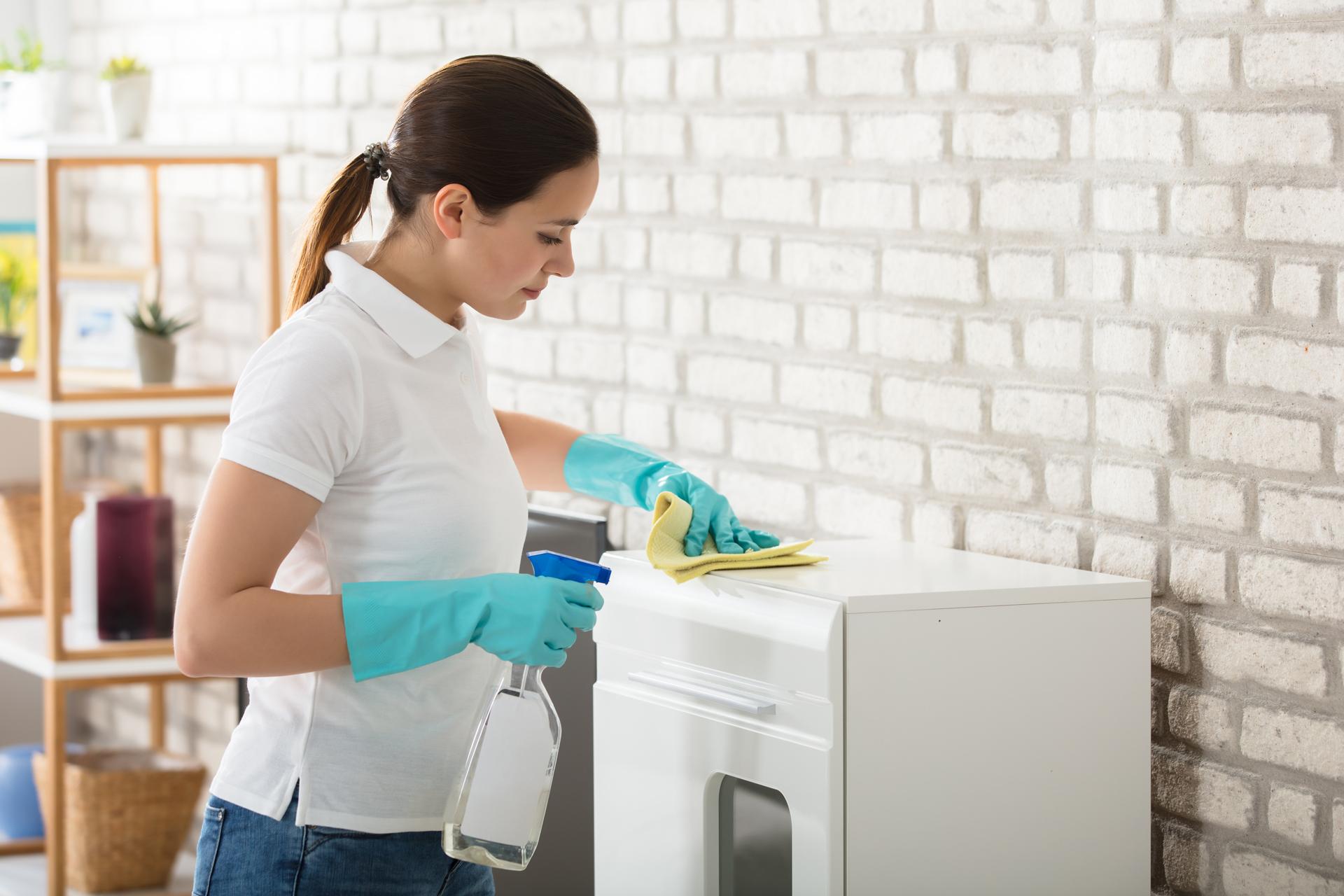 Home cleaning agency south east home cleaner inner city melbourne