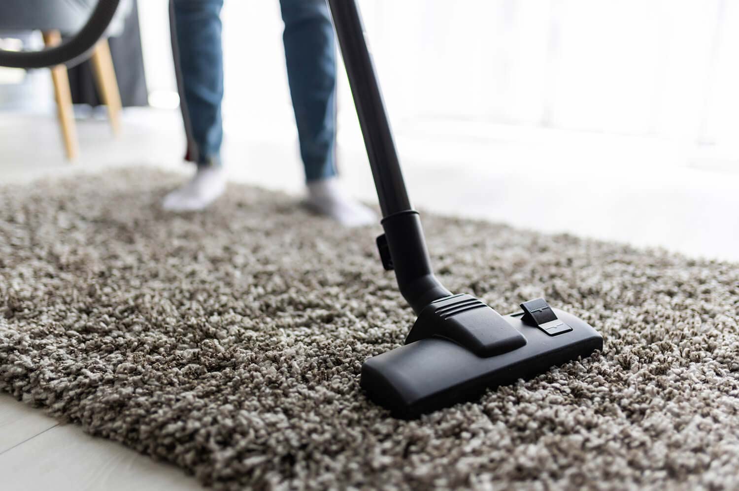 Fortnightly Cleaning Vacuuming Rug